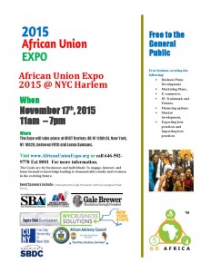 Africian Union Expo 11-7-2015 general attendee